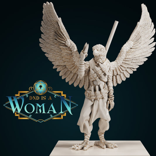 Kebei - An Aarakocra Monk from the DnD is a Woman Campaign by The Printing Goes Ever On